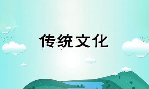 男人办公桌适合摆什么绿植