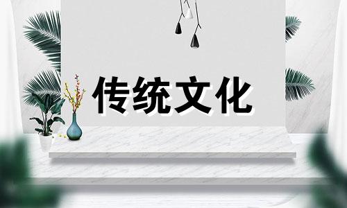 砍院子里的树影响风水吗视频