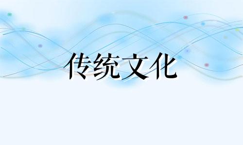 女员工办公室风水摆放图片