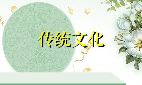 家居绿植摆放风水好吗 家居绿植摆放与风水