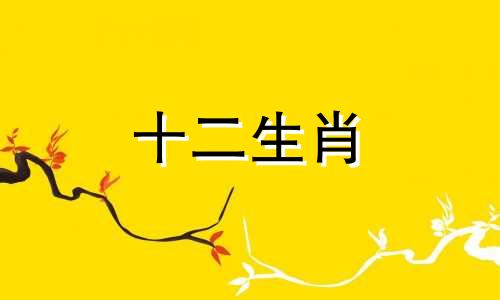 84年鼠2023年每月运势如何详细