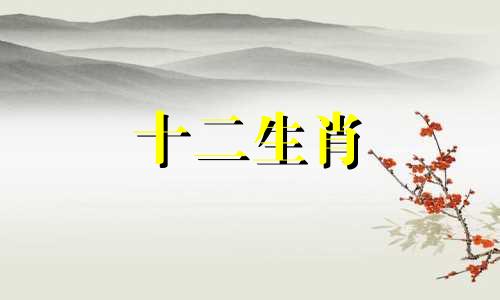 1997年出生2023年属牛人的全年运势