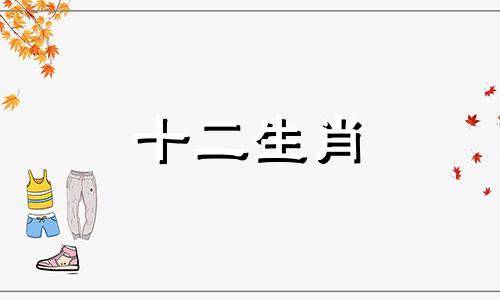 2023年属牛人会迎来怎样的好运?有什么好事呢