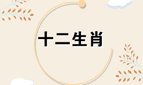 属牛和属鸡的2021年可以结婚吗