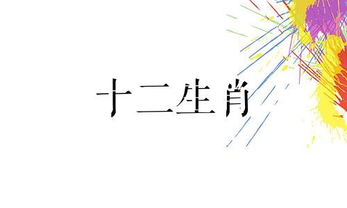 属狗和属虎:爱情可以跨越生肖属相吗