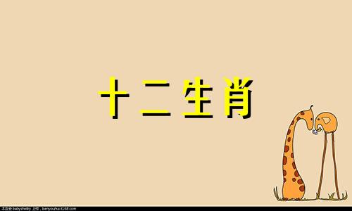 2010年出生的属虎男命13岁的他在2023年下半年的运气如何？