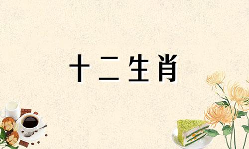 86年属虎男命在2023年的财运如何？37岁的兔年是否会给他带来事业运势？