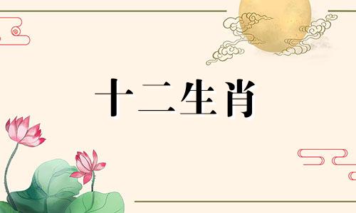 2010年出生的属虎人在2023年将年满多少岁？探索他们的优点和缺点