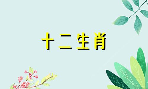 2023年属虎人住在哪个楼层可以招财?2,5,7楼哪个最吉利