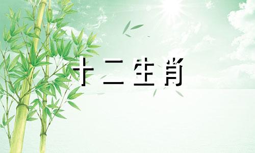 2022年属虎女宝宝五行命格是什么