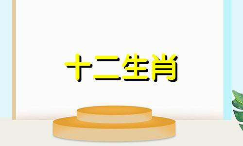 2010年属虎女在2023年兔年运势怎么样