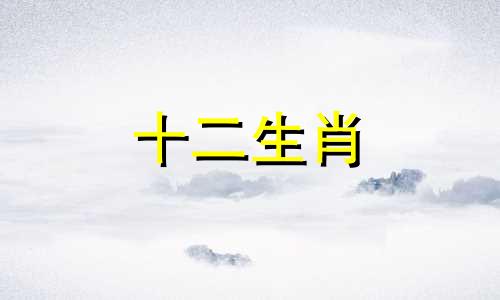 1975年属兔人2023年8月运势有何变化