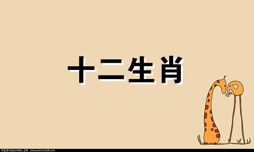 1975年属兔人2023年6月运势大揭秘