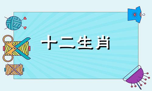 2023年属兔五月是什么命 2023年属兔人的全年每月