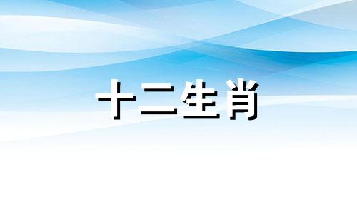 1999年的属兔女在2023年会有绵绵不绝的好财运吗为什么