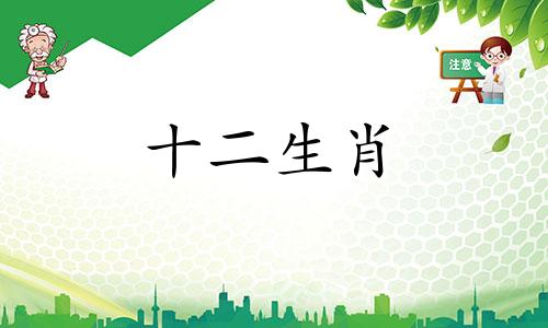 属龙人2023年3月运势运程详细解析视频