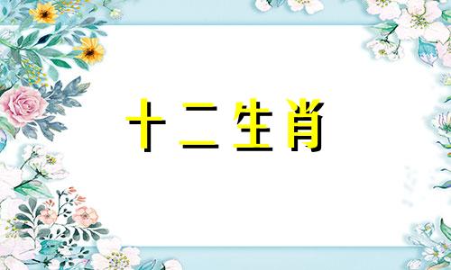 属龙人在2023年春节期间会有什么财运吗