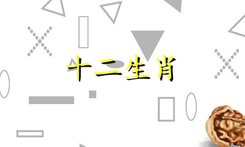 2023年属龙人遇到什么生肖的贵人是最幸运的呢