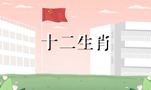 属龙本命年应该佩戴什么好