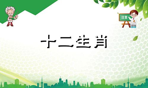 生肖龙在2023年春节会收获什么呢