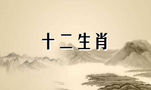 属蛇的2023年财运怎么样 属蛇人在2023年的全年运势