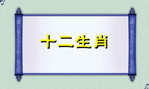 2023属蛇男人的运势和财运