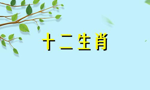 1978年属马人2023年每月运势