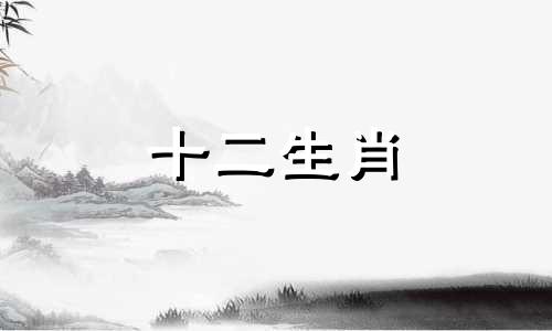 2003年属羊2023年运势及运程每月运程