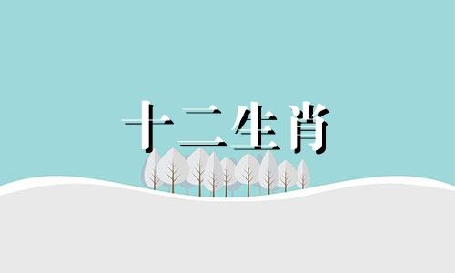 2023年8岁2015年出生的属羊人的健康运如何？需要注意哪些意外事故？