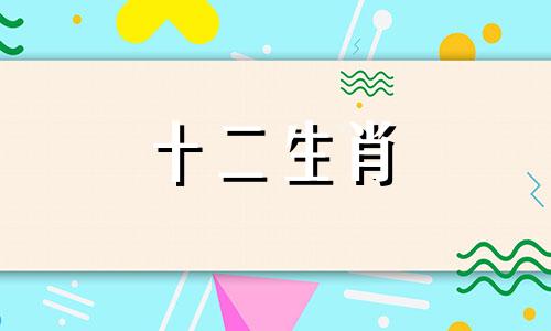 2004年出生的属猴女在2023年下半年的运势如何呢