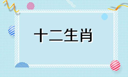 1980年属猴男2023年怎么样