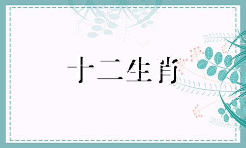 2023年属鸡人会发生什么大事和小事