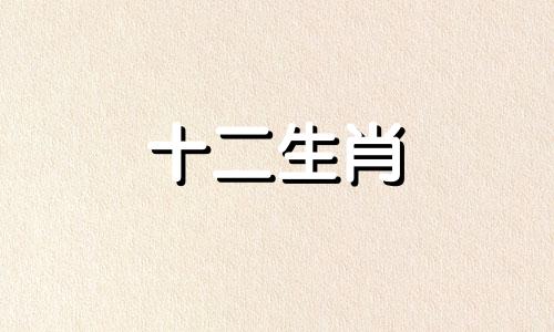 属鸡人在2023年和2024年会有怎样的运势表现呢