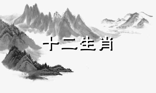 2023年属狗人不同的月份运势发展 哪些月份需要特别注意？