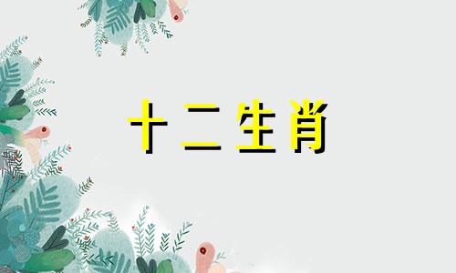 2023年属狗运势解析查询大全