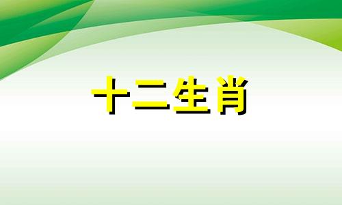 2023年属狗人桃花运势如何呢