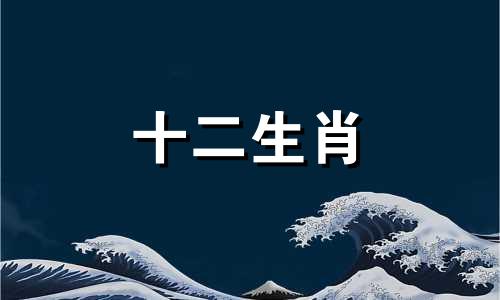 1994年出生的属狗女会有什么样的命运