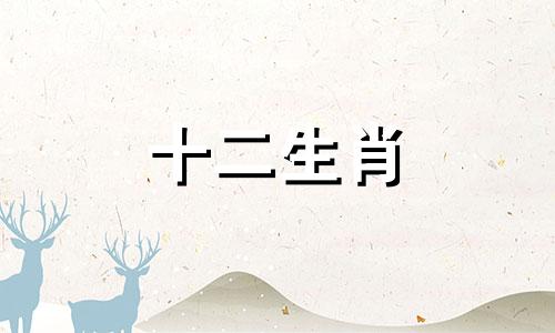 2023年属猪人的运势如何 2023年属猪人的全年运势详解