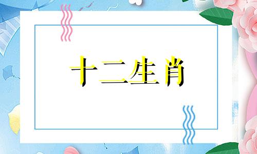 2023年属猪人的运势如何 2023年生肖猪的全年运势