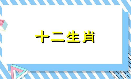 1995年出生的猪男财运和事业2023年会有怎样的发展