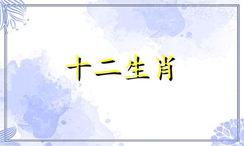 2023年1995年属猪女的财运怎么样 事业会如何发展