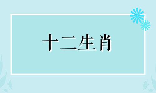 83年出生的属猪女在2023年会有什么样的运势呢