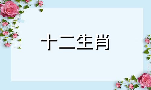 1995年的属猪女是否在2023年有牢狱之灾