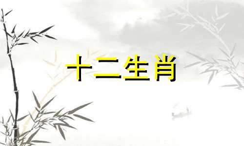 属猪2023年3月运势及运程如何呢