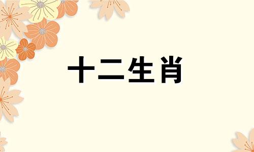 属猪人2023年1月运势运程详细解析女