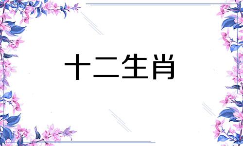 属猪2022年12月运势及运程解读视频