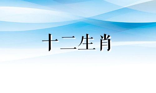 2019年出生的猪人在2023年属猪人每个月的运势如何