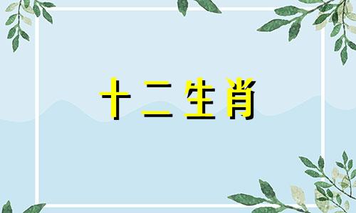 马女能和88年出生的龙男在一起吗好吗