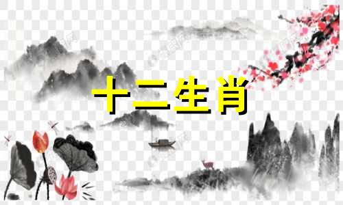 1994年的属狗人适合1999年的属兔人吗为什么