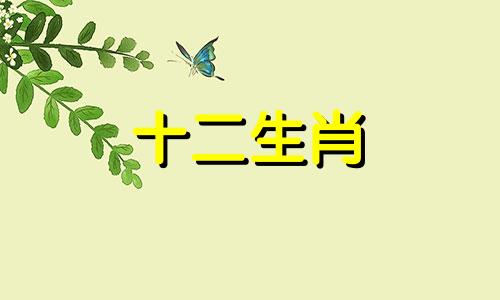 1994年的狗人和1999年的兔人结婚好吗视频